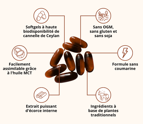 Cannelle de Ceylan (équivalent à 7200 mg) mélangée à de l'huile MCT